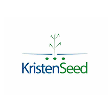 kristen seed